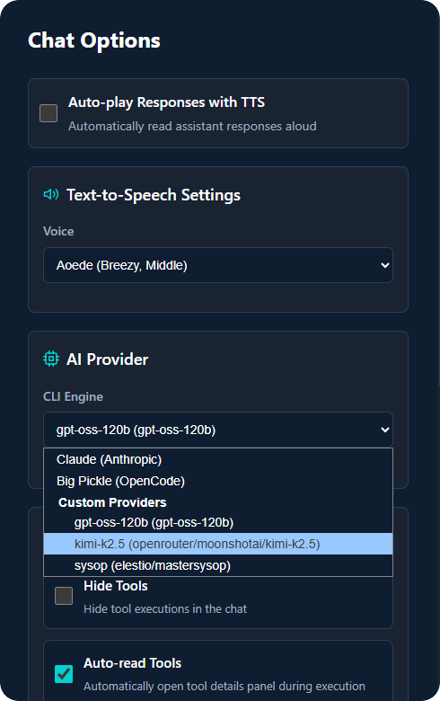 Chat Options dropdown